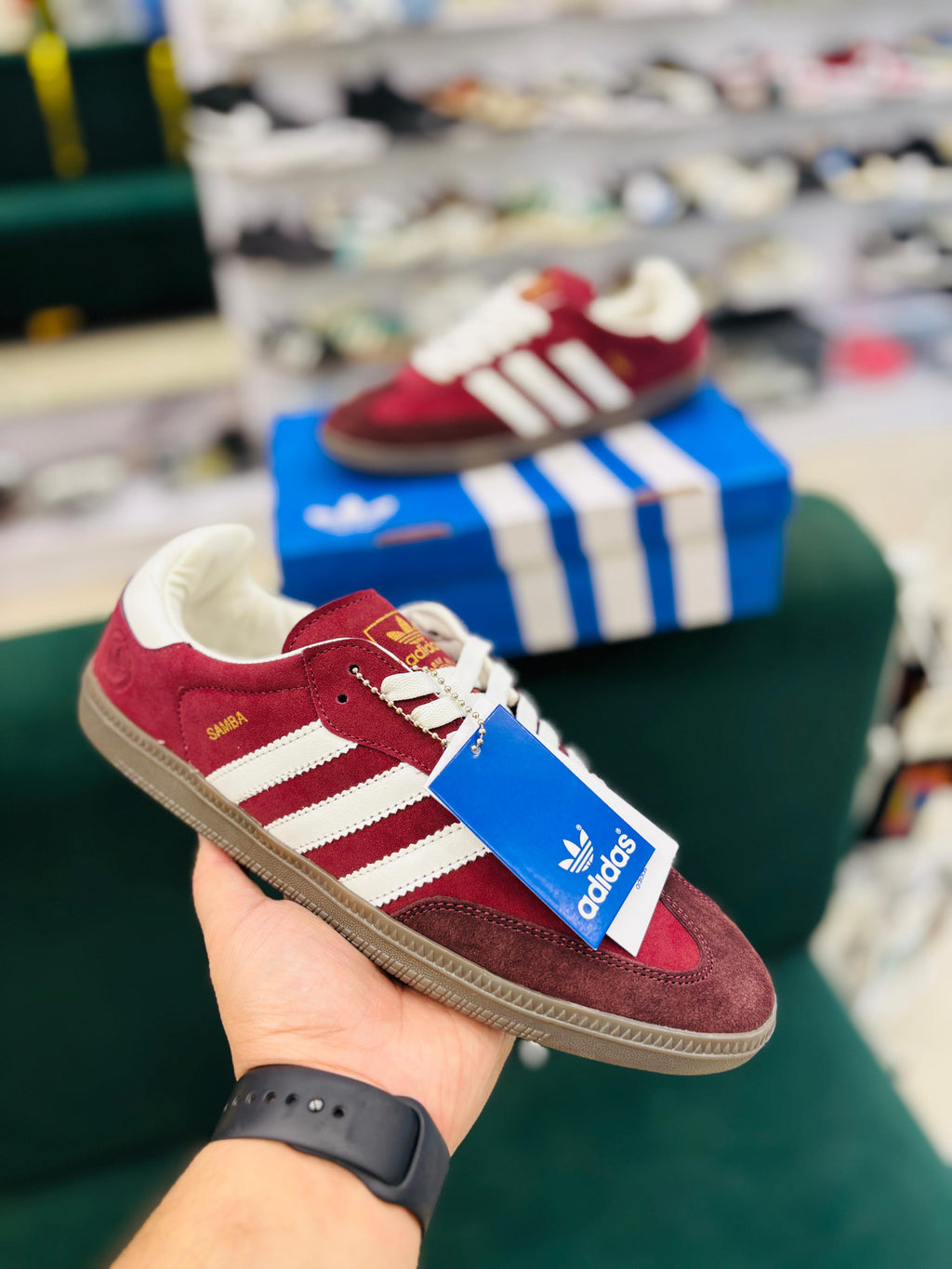 ADI SAMBBAA (MAROON)